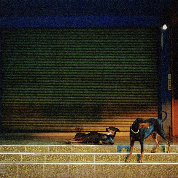 Pure Devotion album cover