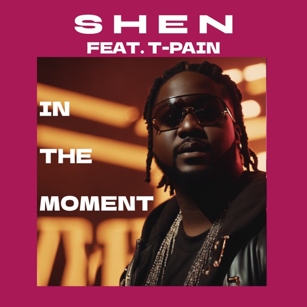 In the Moment (feat. T-Pain) - Single album cover