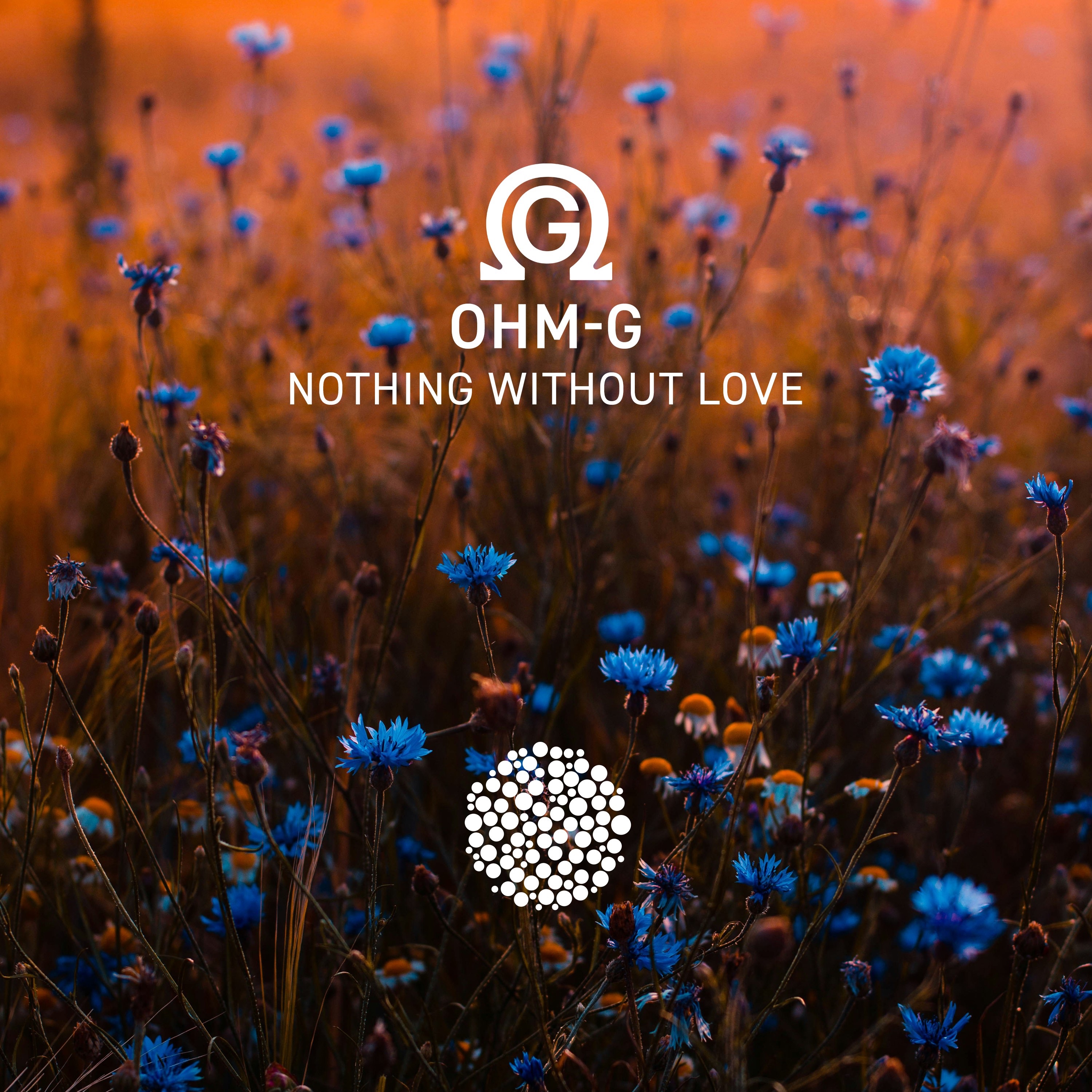 Nothing Without Love - Single album cover