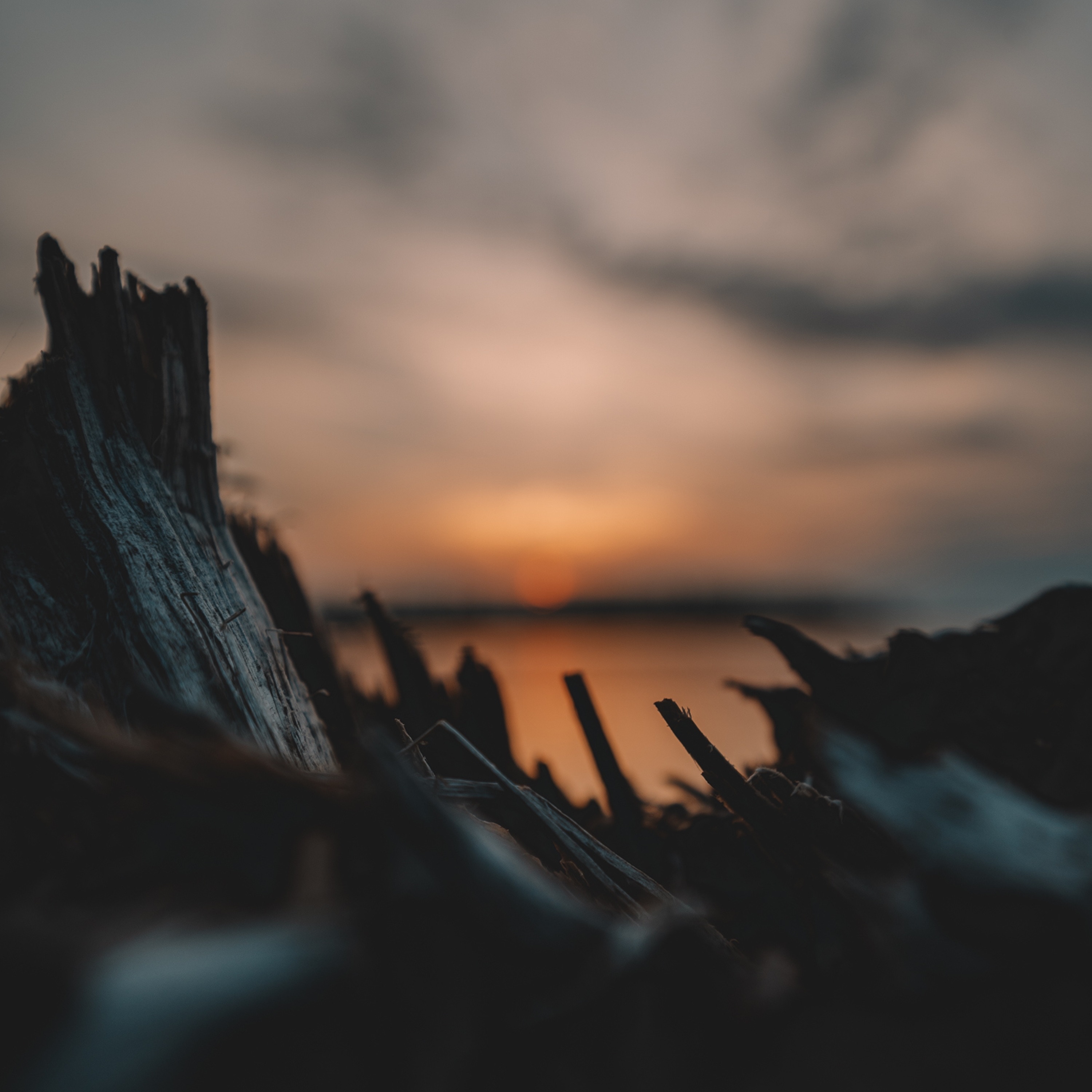 Sleep Cycle - EP album cover