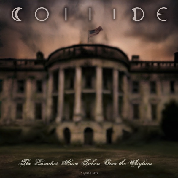 The Lunatics Have Taken over the Asylum (Signals MIX) - Single album cover