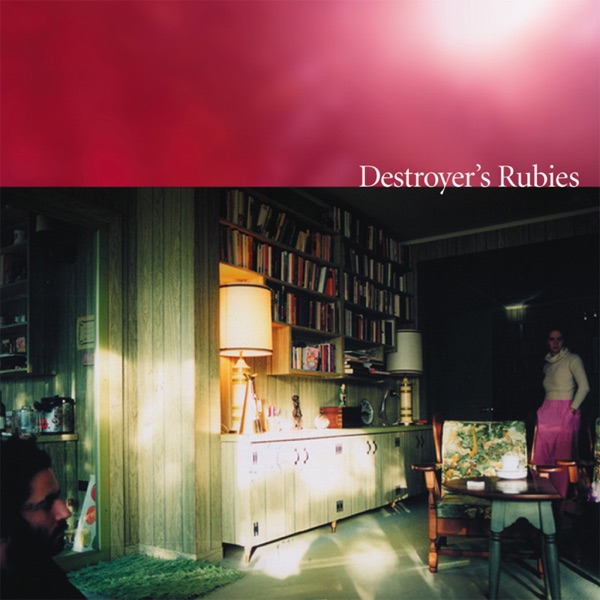 Destroyer's Rubies album cover