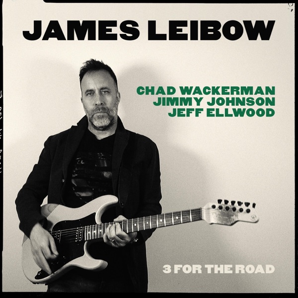 3 For The Road (feat. Jimmy Johnson & Chad Wackerman) - Single album cover