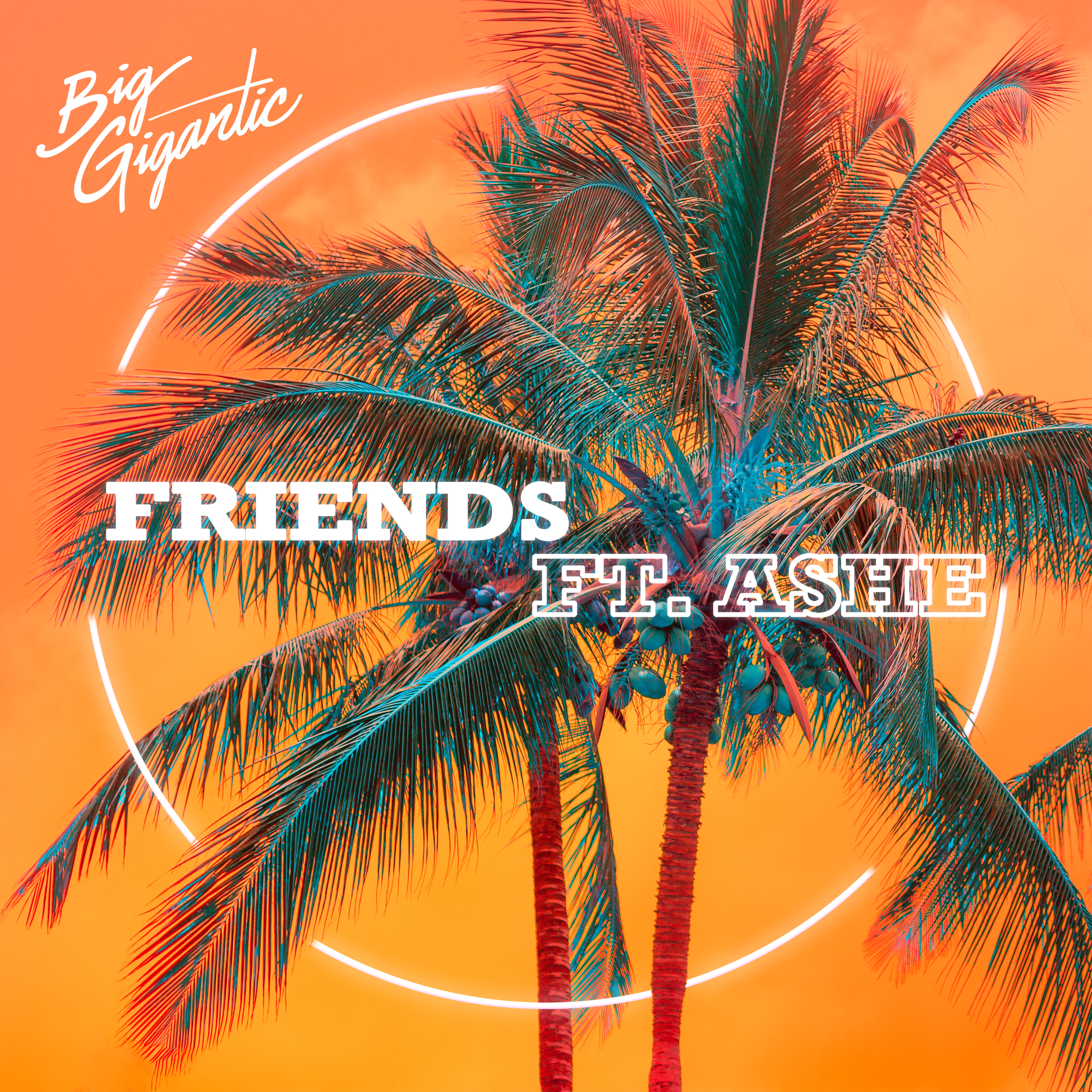 Friends (feat. Ashe) - Single album cover