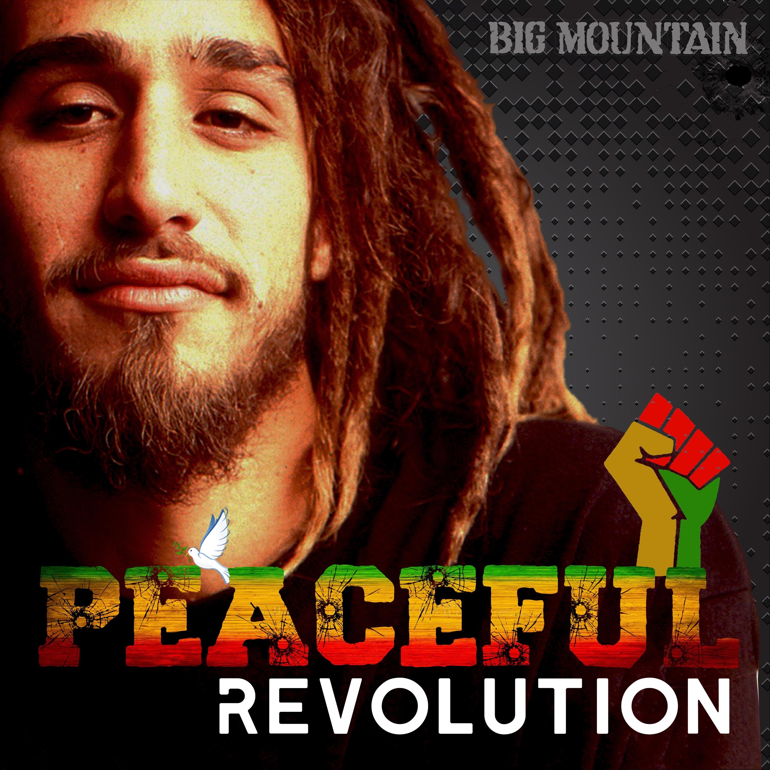 Peaceful Revolution - Single album cover