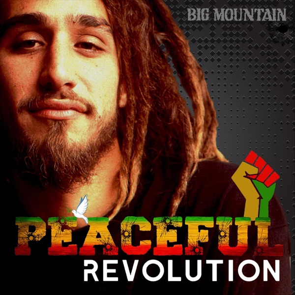 Peaceful Revolution - Single album cover
