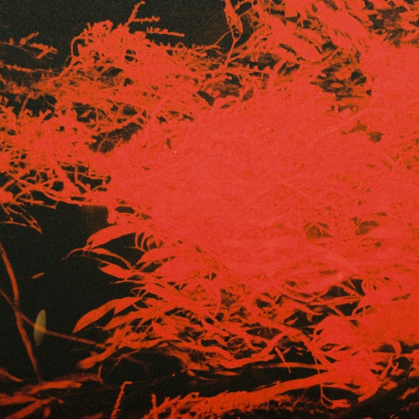 In Studio Magic album cover