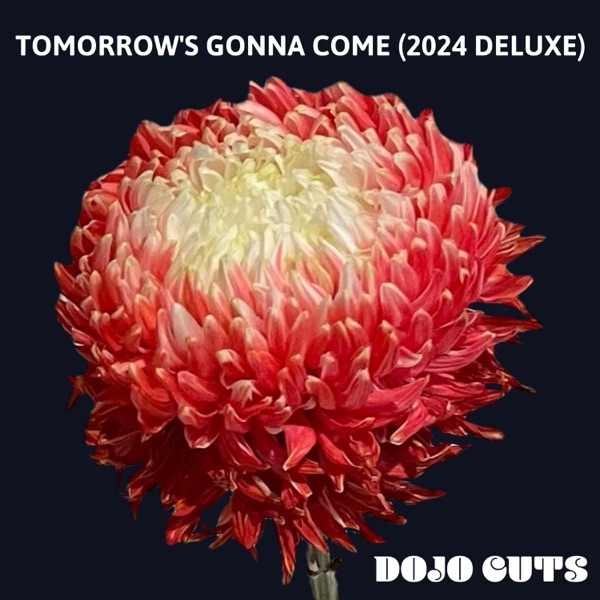 Tomorrow's Gonna Come (2024 Deluxe) album cover