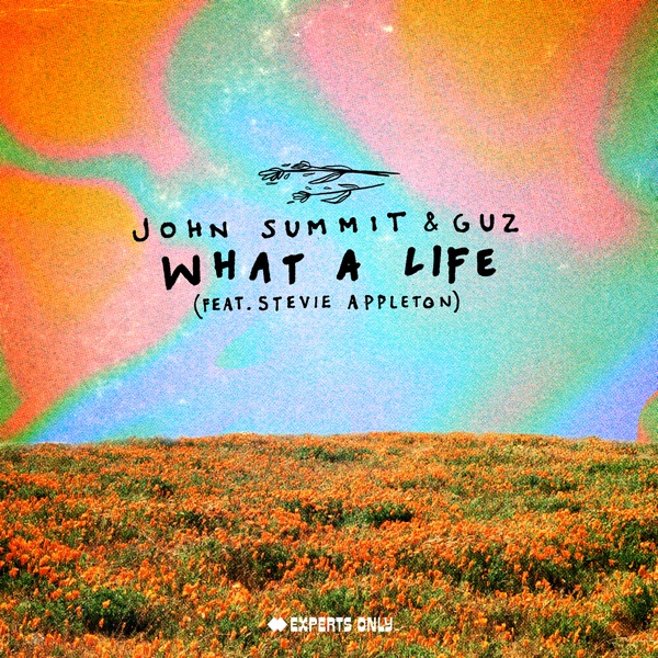 What a Life (feat. Stevie Appleton) - Single album cover