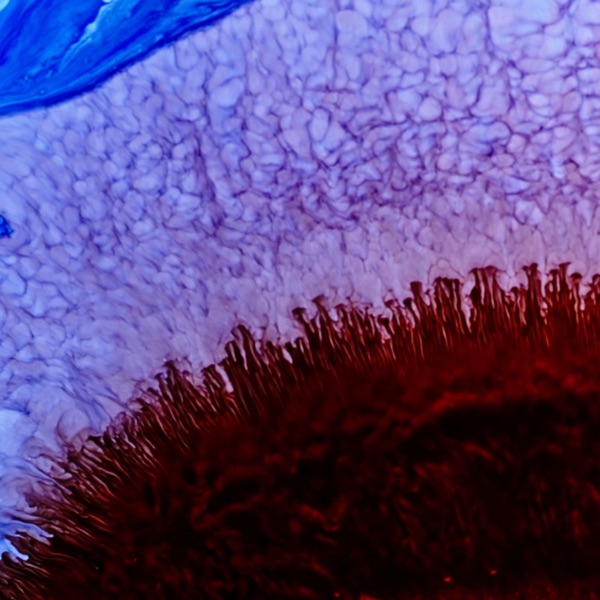 Circle 30 (Tom Ashbrook Rework) - Single album cover