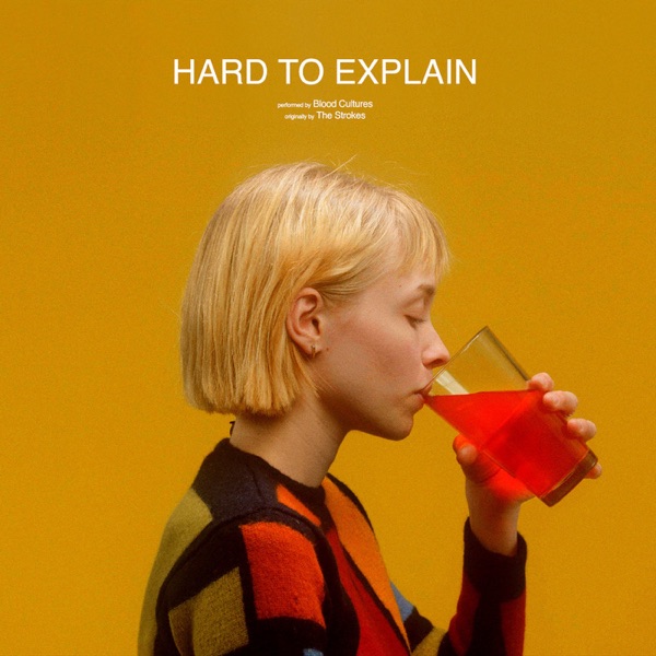Hard to Explain - Single album cover