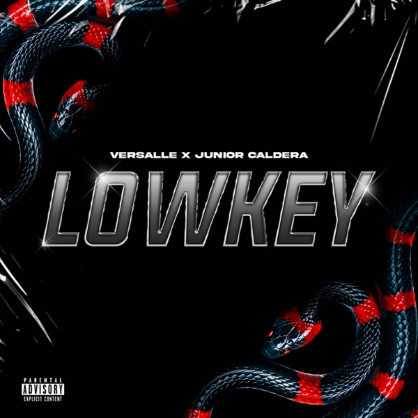 Lowkey - Single album cover