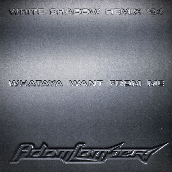 Whataya Want From Me (White Shadow HEmix '24) - Single album cover