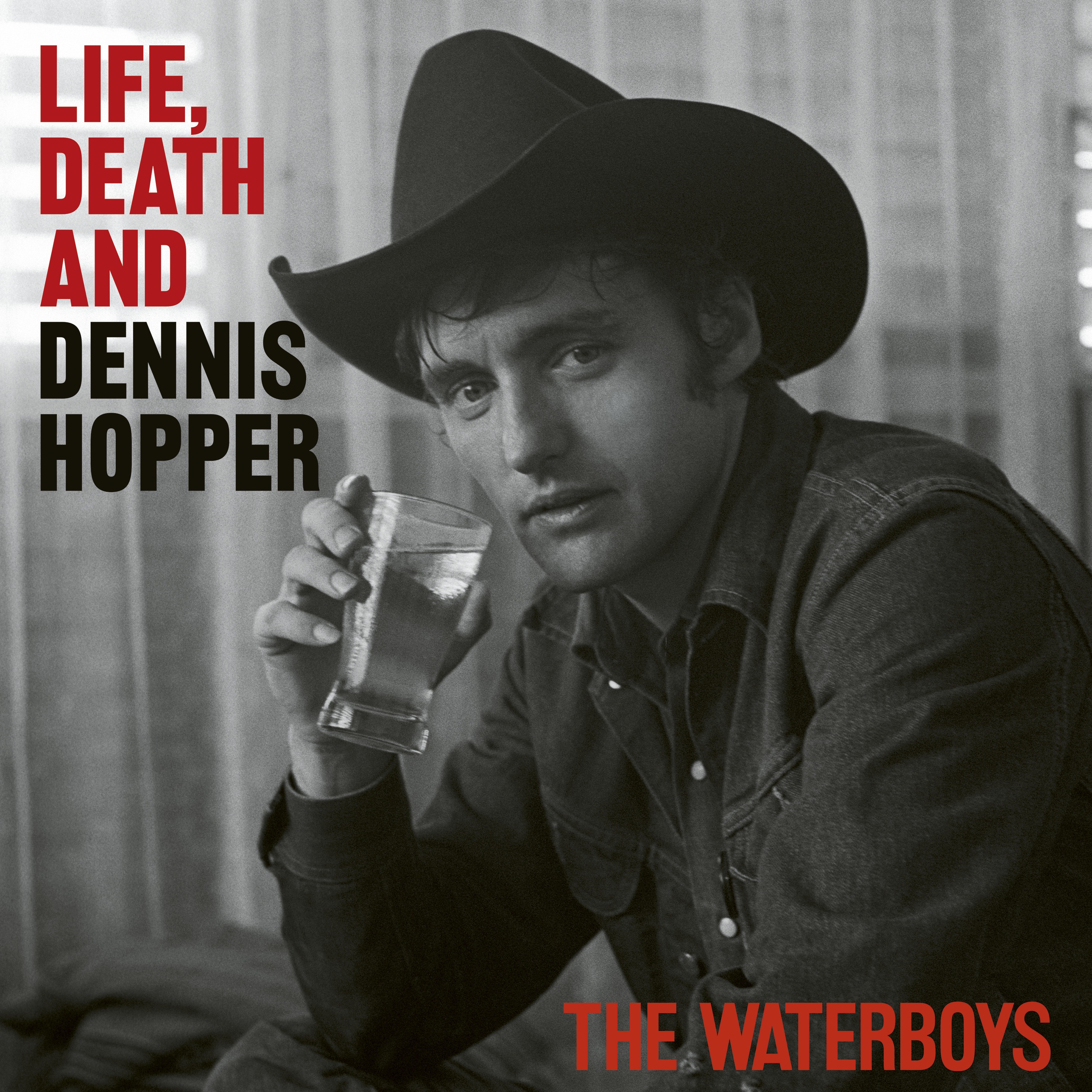 Life, Death And Dennis Hopper album cover