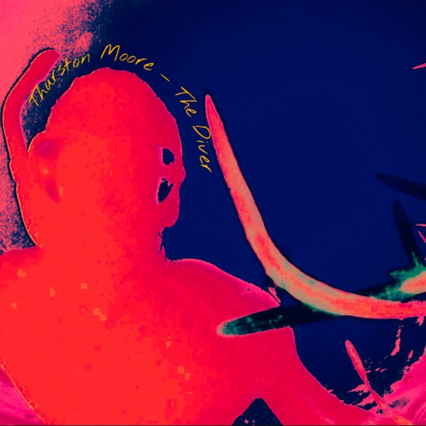 The Diver - Single album cover