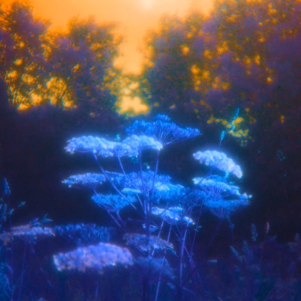 Golden (Sunset Mix) - Single album cover