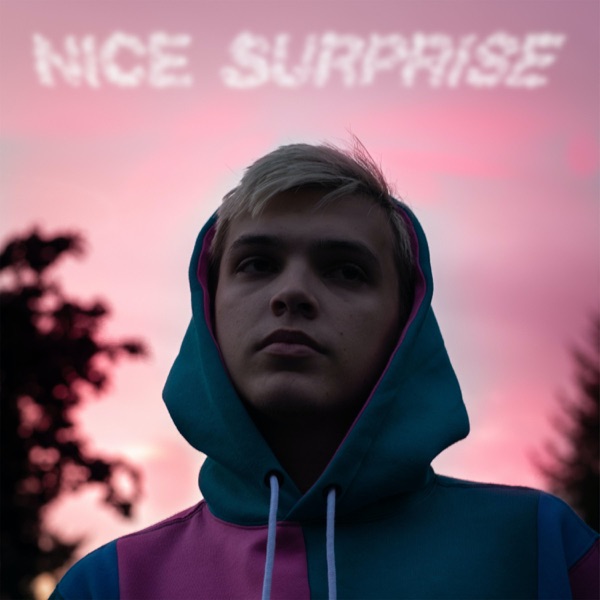 Nice Surprise - Single album cover
