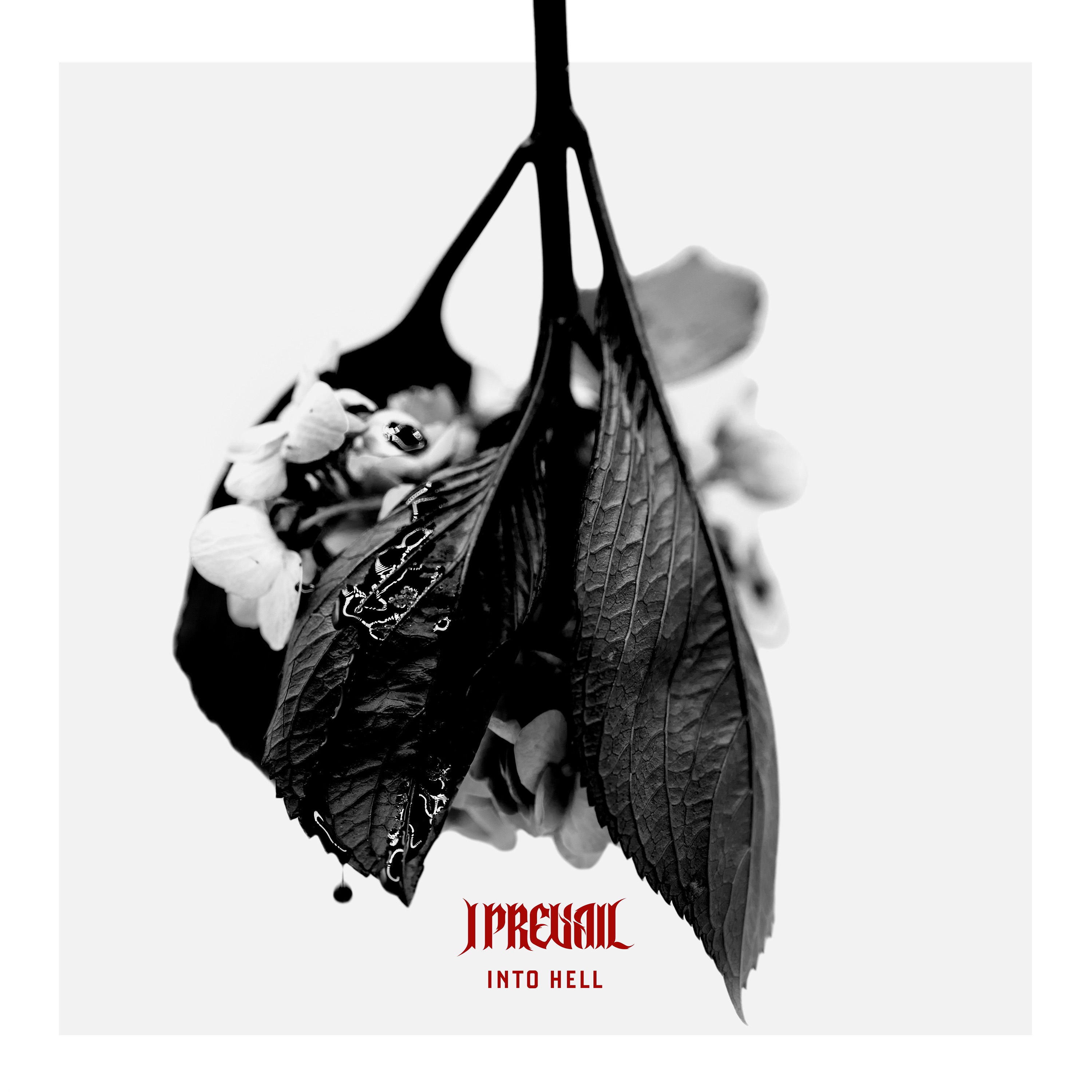 Into Hell - Single album cover