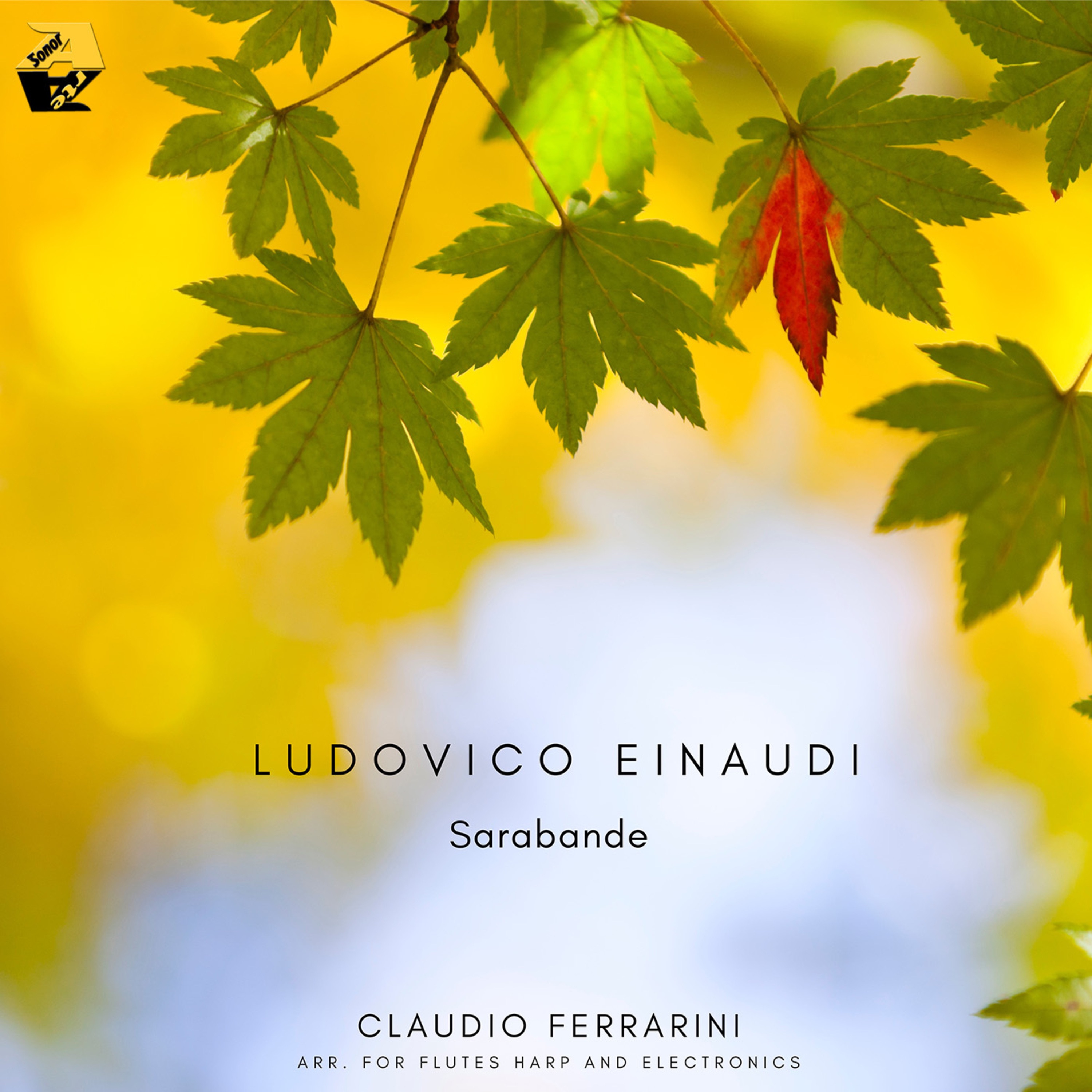 Ludovico Einaudi: Sarabande (Arr. for Flutes, Harp and Electronics by Claudio Ferrarini) - Single album cover
