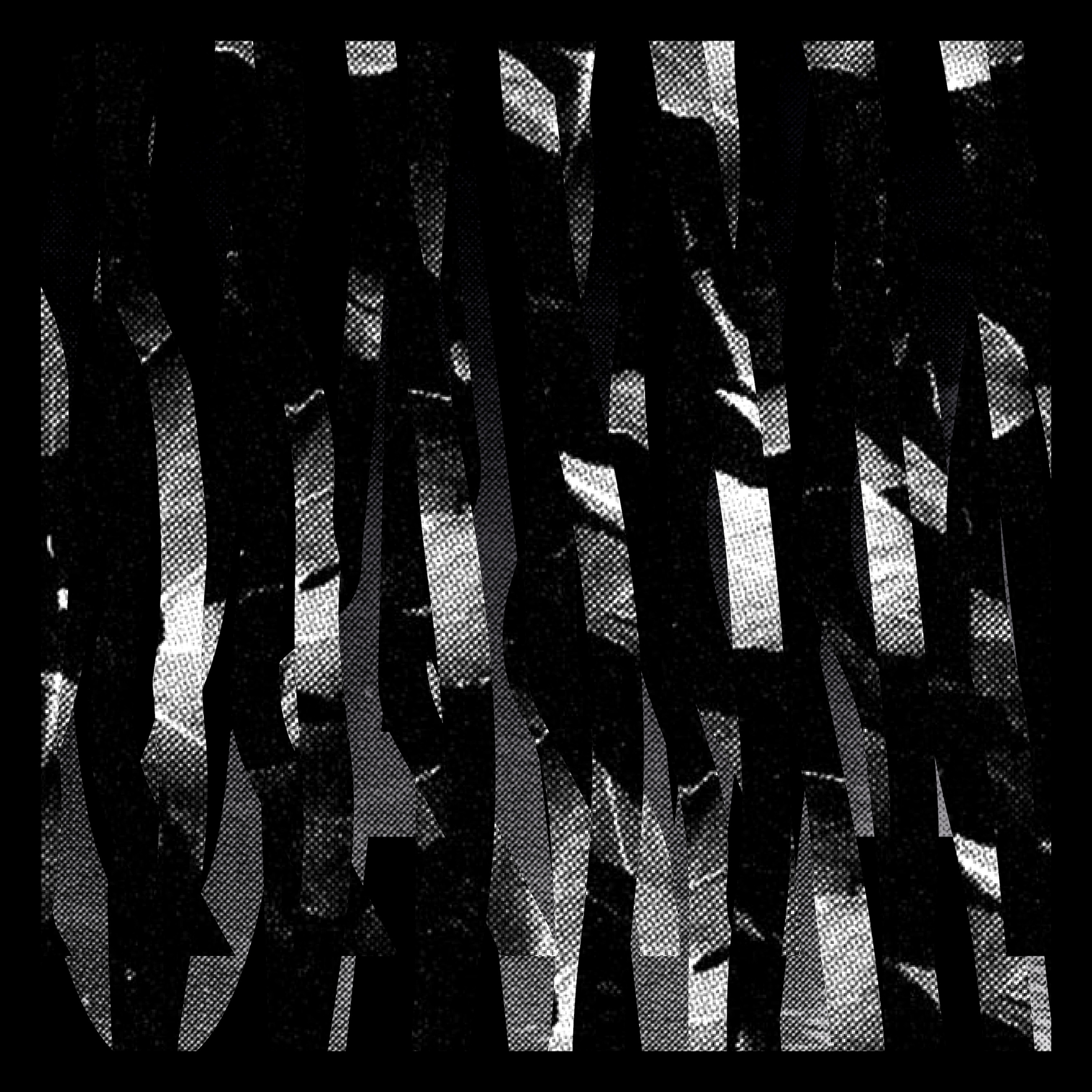 Cava - Single album cover