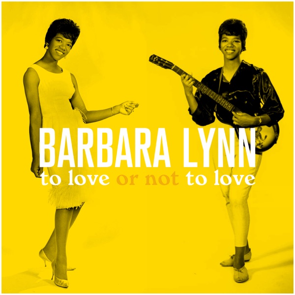 To Love or Not to Love album cover