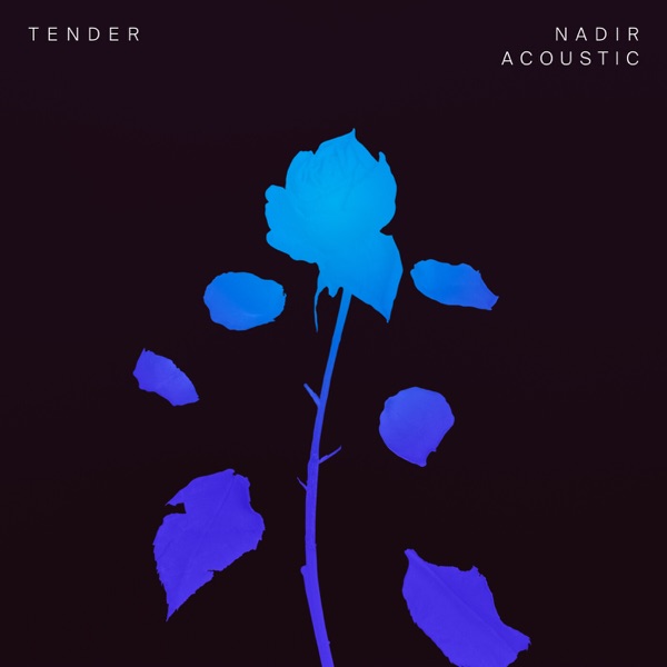 Nadir (Acoustic) - Single album cover