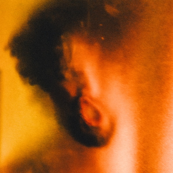 IN THE FLESH - Single album cover