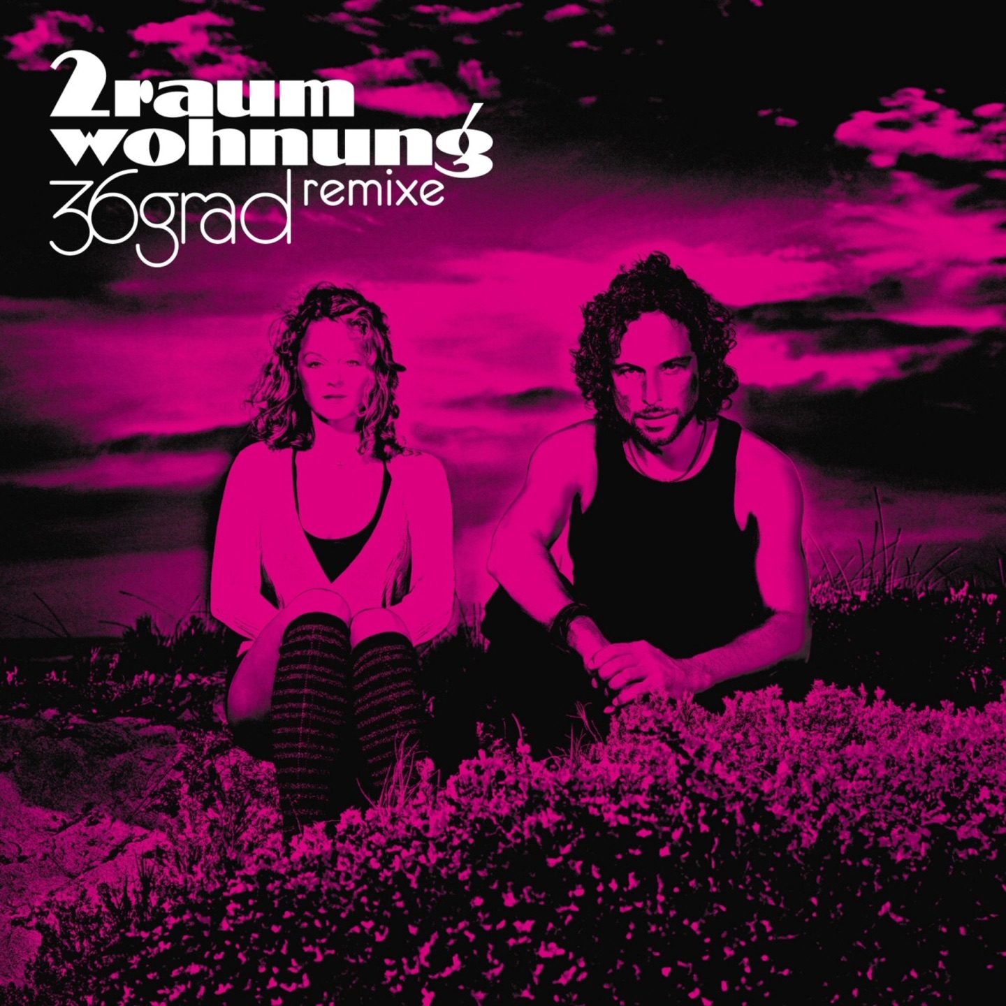 36Grad (Remixe) album cover