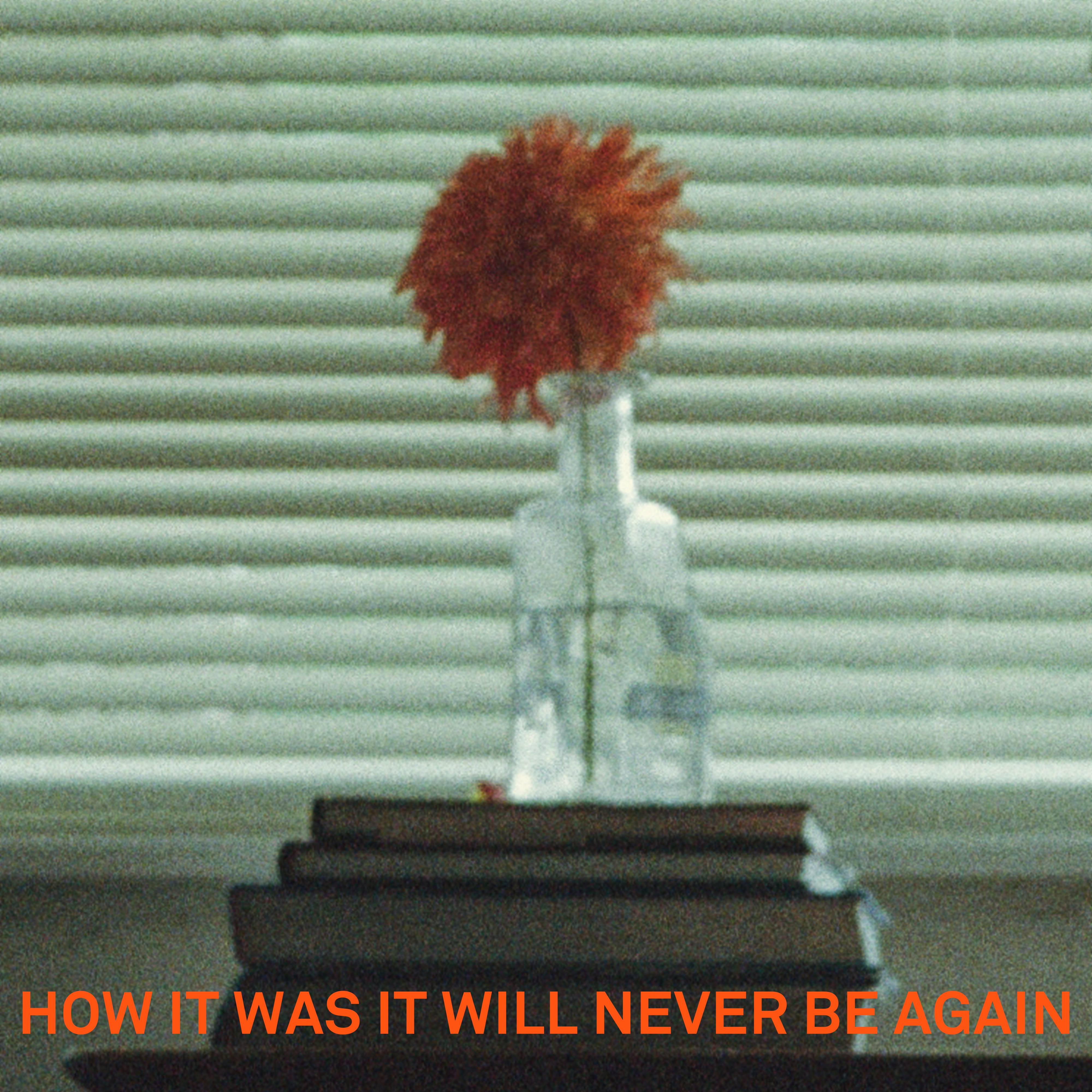 How It Was It Will Never Be Again - Single album cover