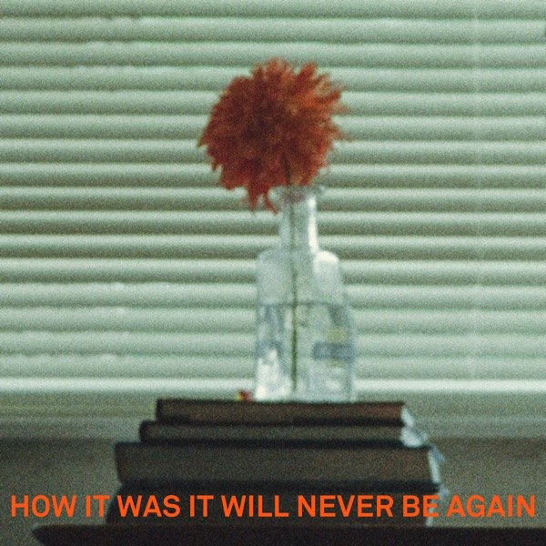 How It Was It Will Never Be Again - Single album cover