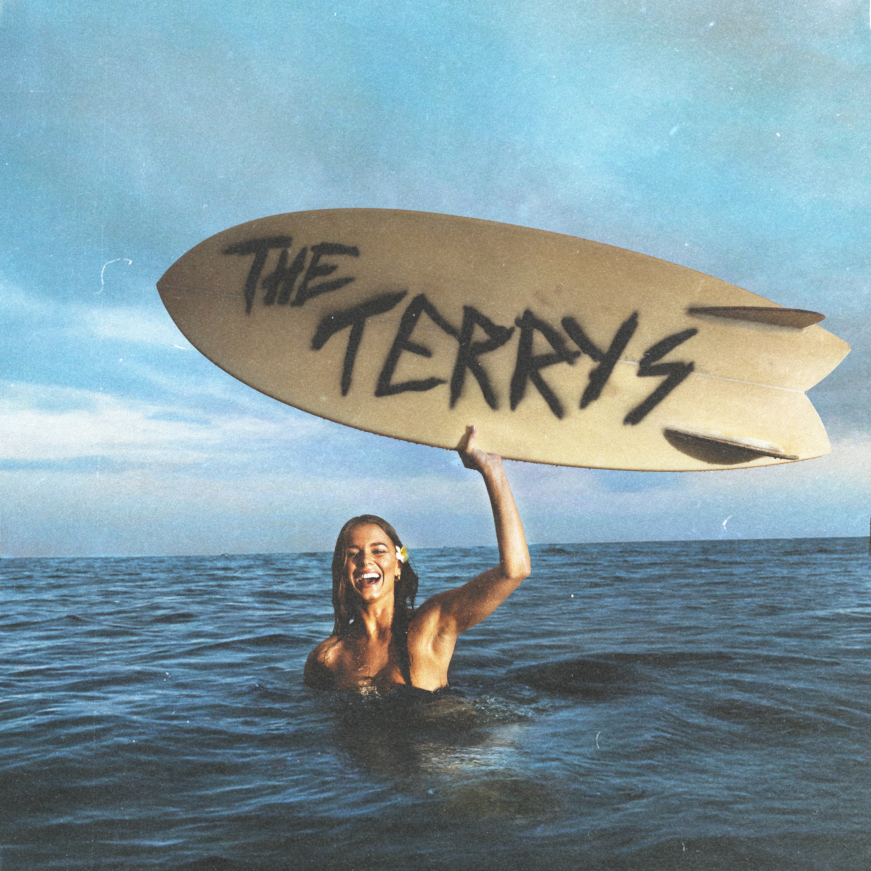 The Terrys album cover