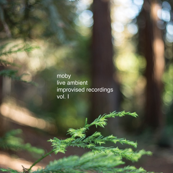 Live Ambient Improvised Recordings, Vol. 1 album cover