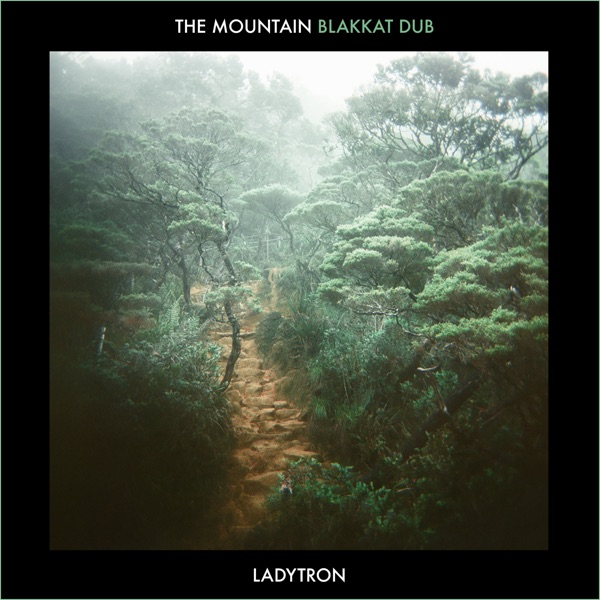 The Mountain (Blakkat Dub) - EP album cover