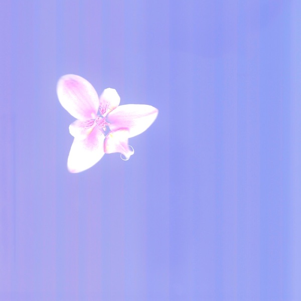 Please don't stop being sweet to me - Single album cover