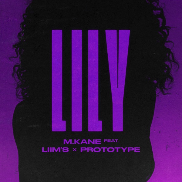 LILY - Single album cover