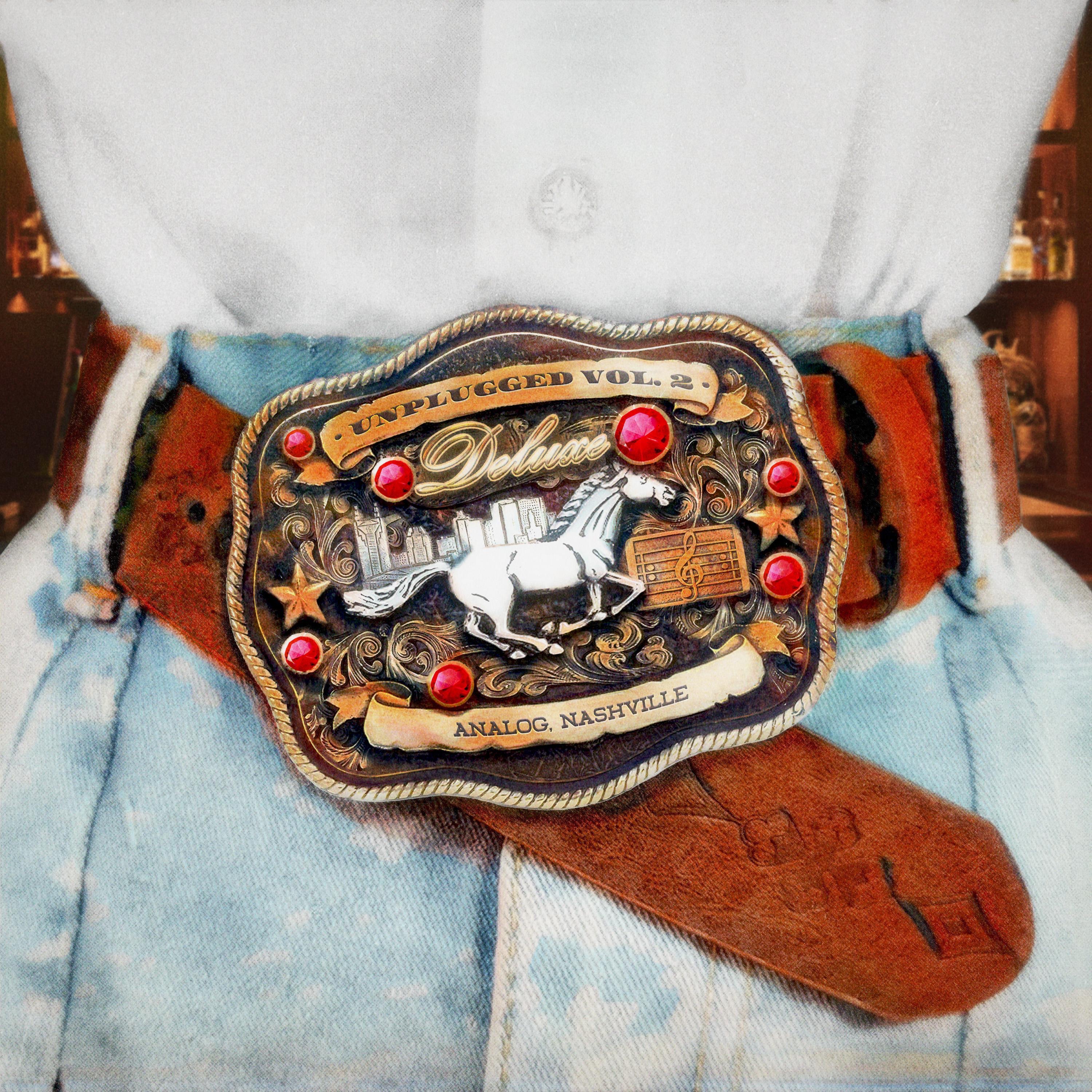 unplugged vol.2 (deluxe) album cover