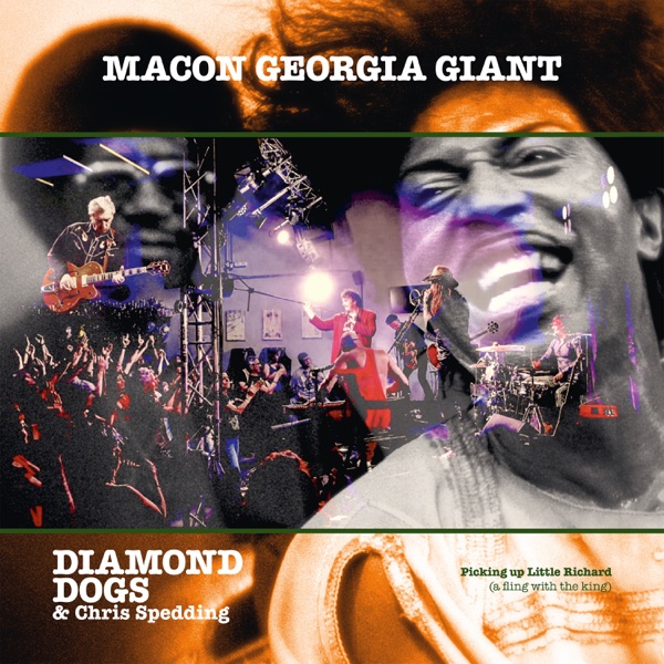Macon Georgia Giant (feat. Chris Spedding) album cover