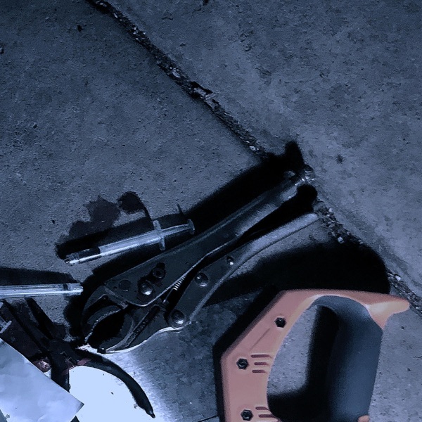 Petplay Polycule Open Fire / Wasted Potential - Single album cover