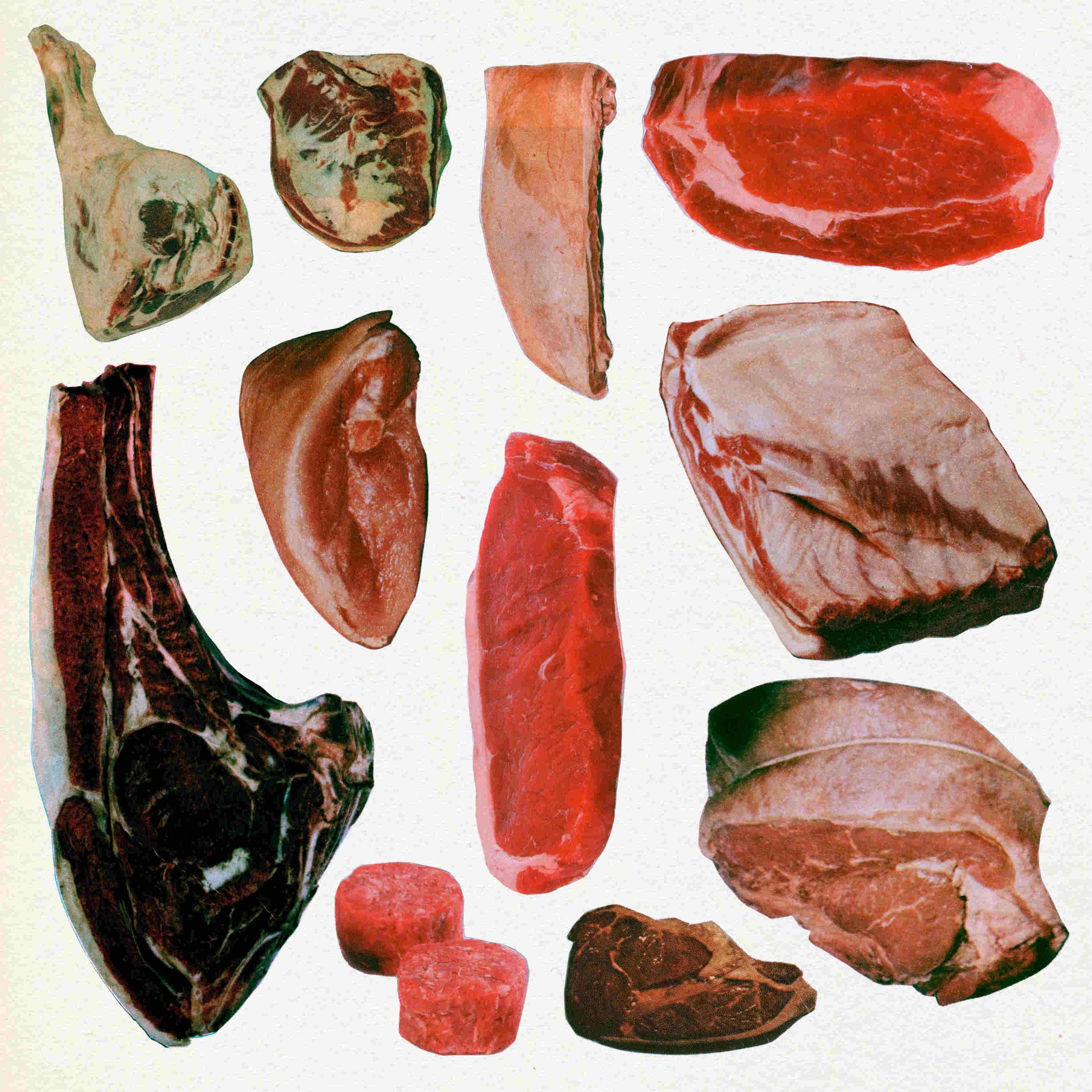 Tommy Snort - Single album cover