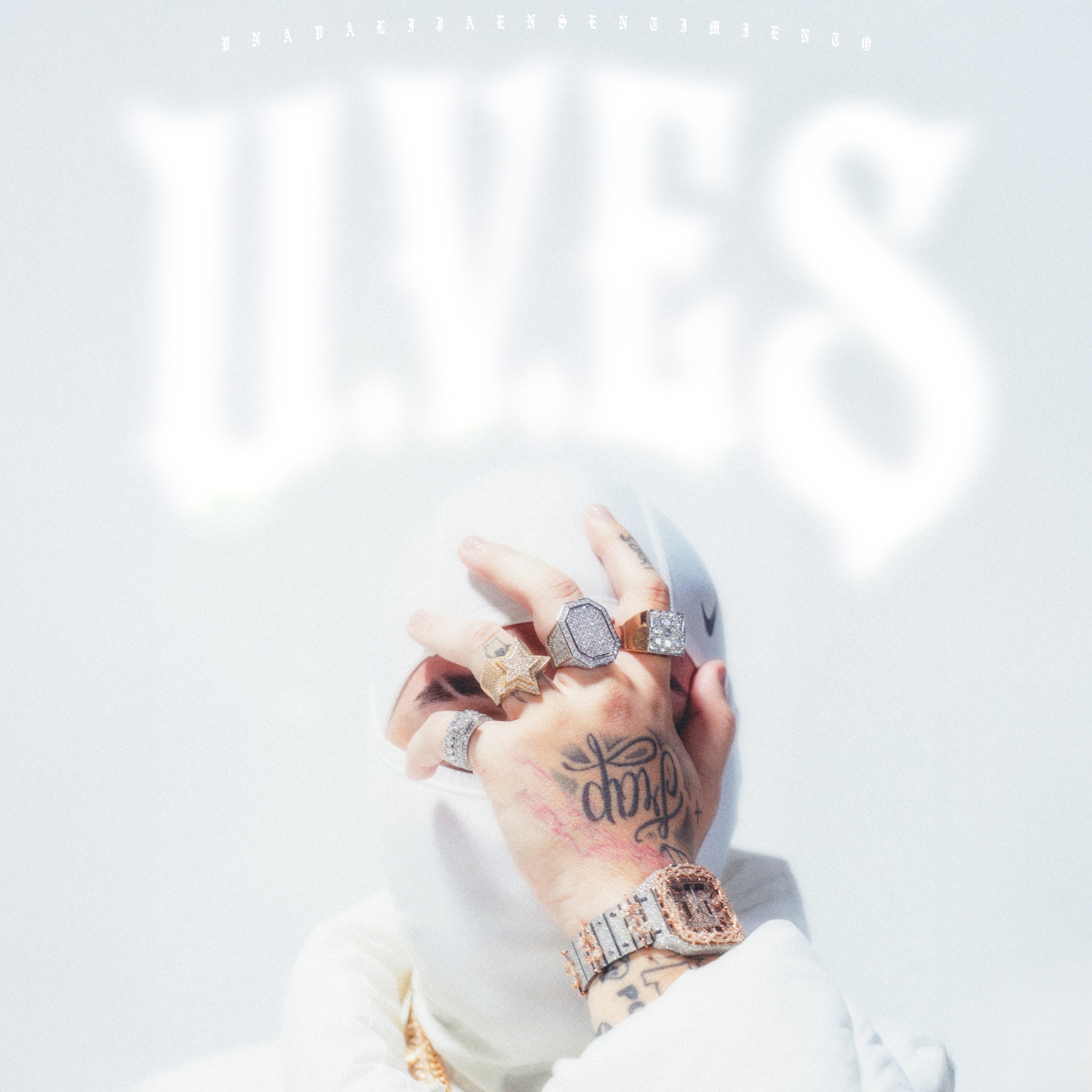 UNA VALIJA EN SENTIMIENTO album cover