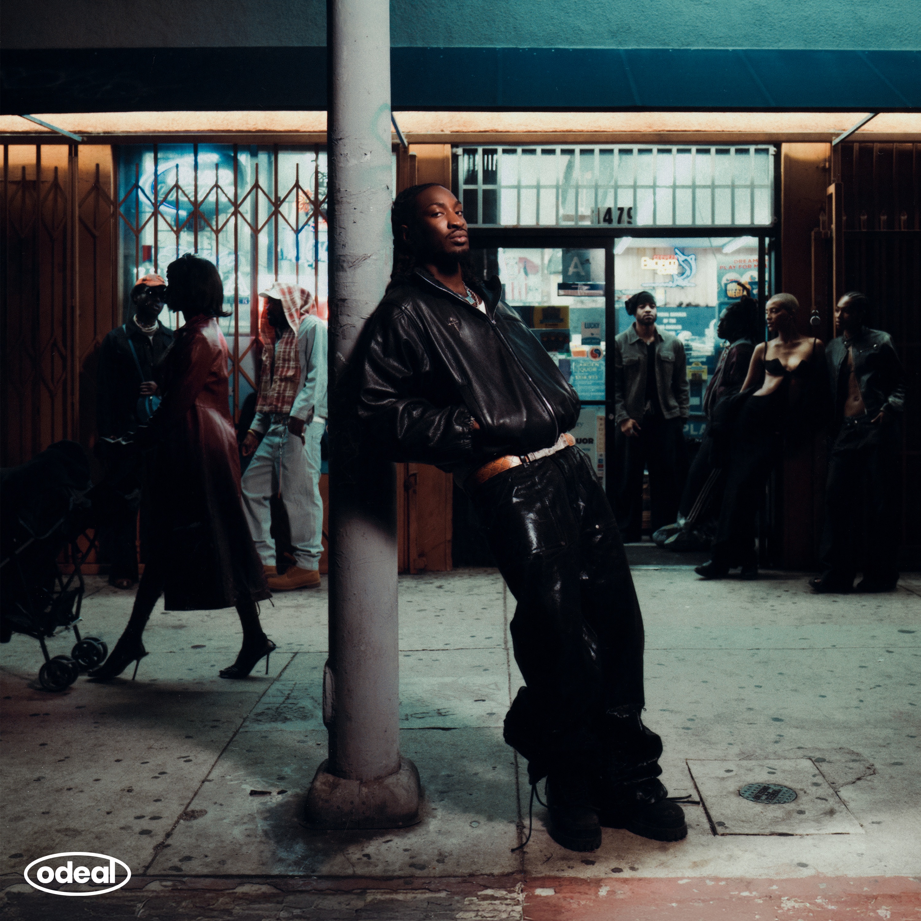 The Fall That Saved Us album cover