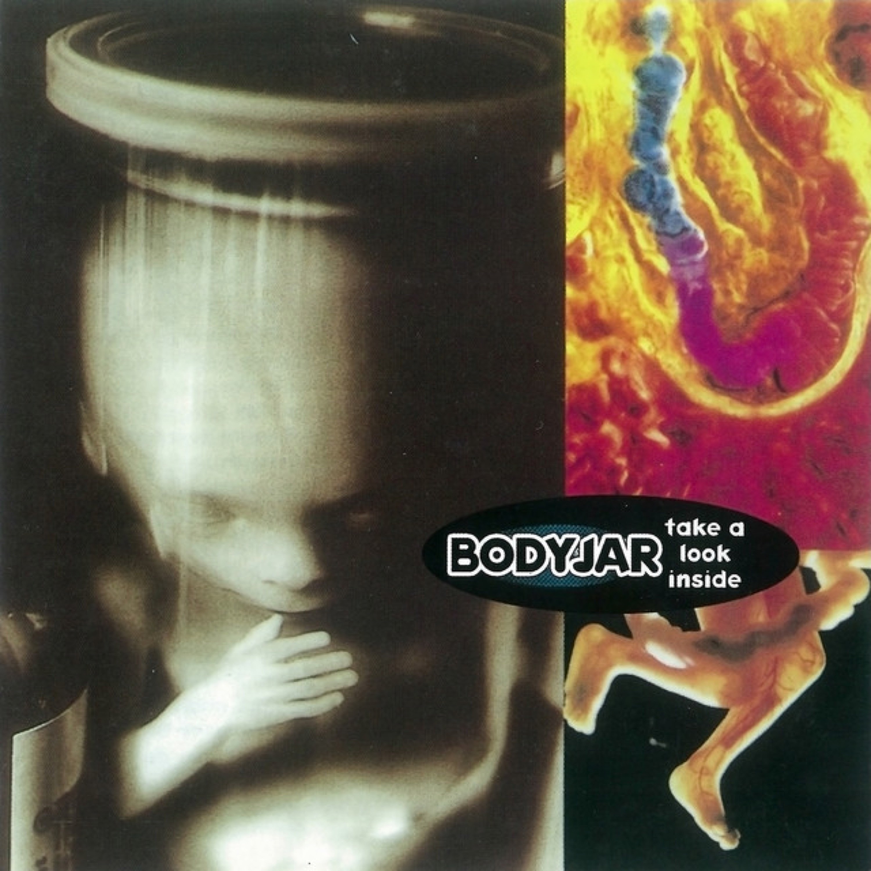 Take a Look Inside album cover