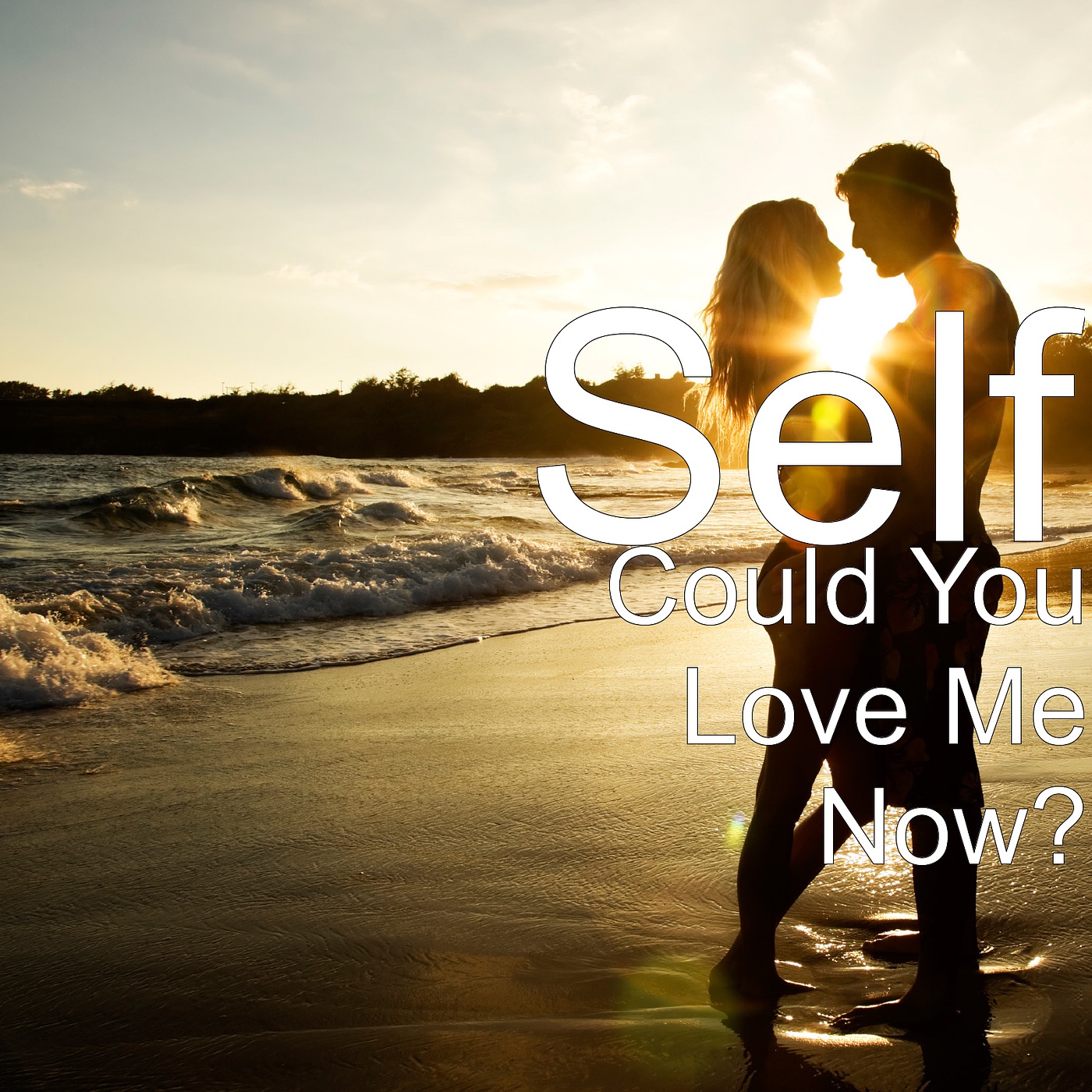 Could You Love Me Now? album cover