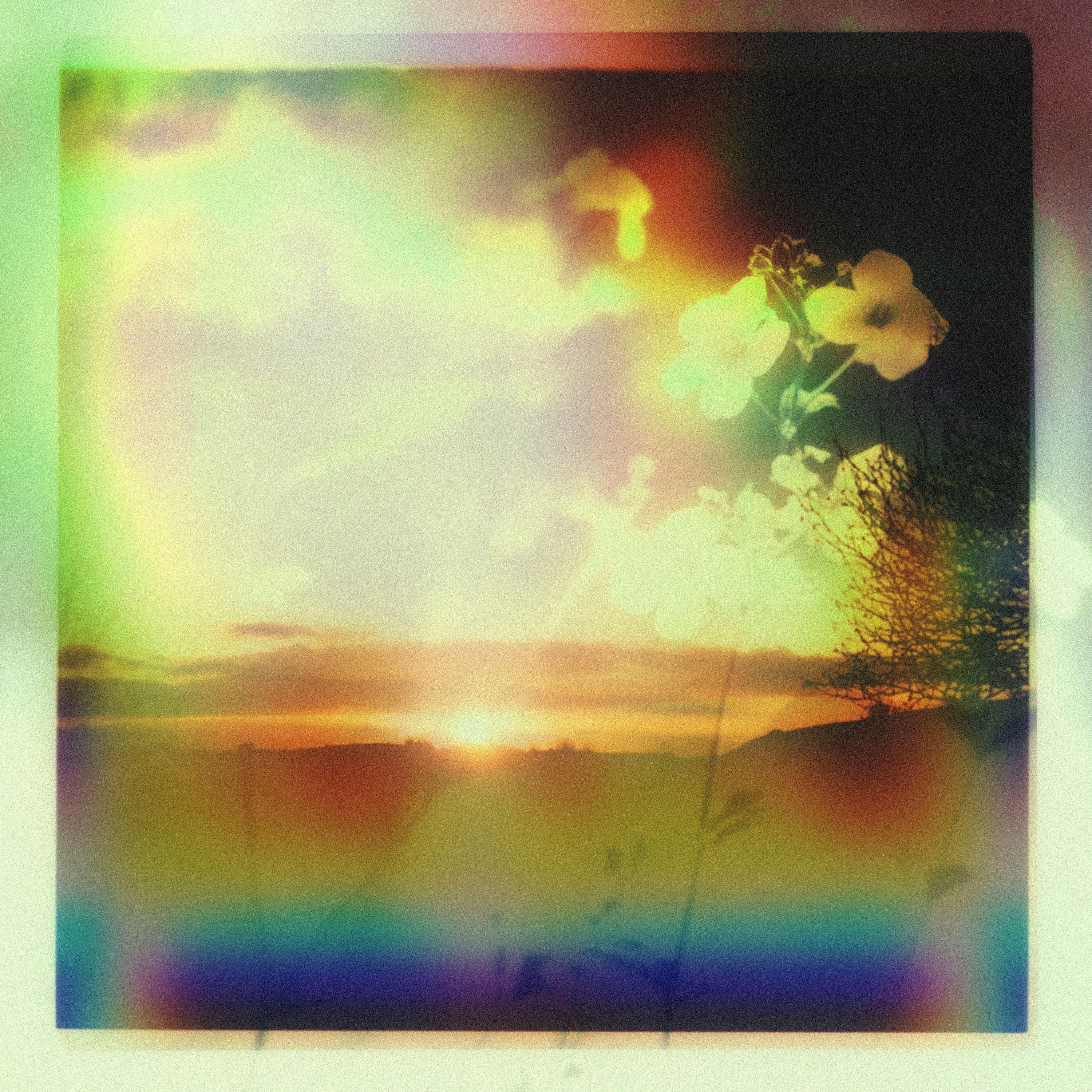 Sage - EP album cover