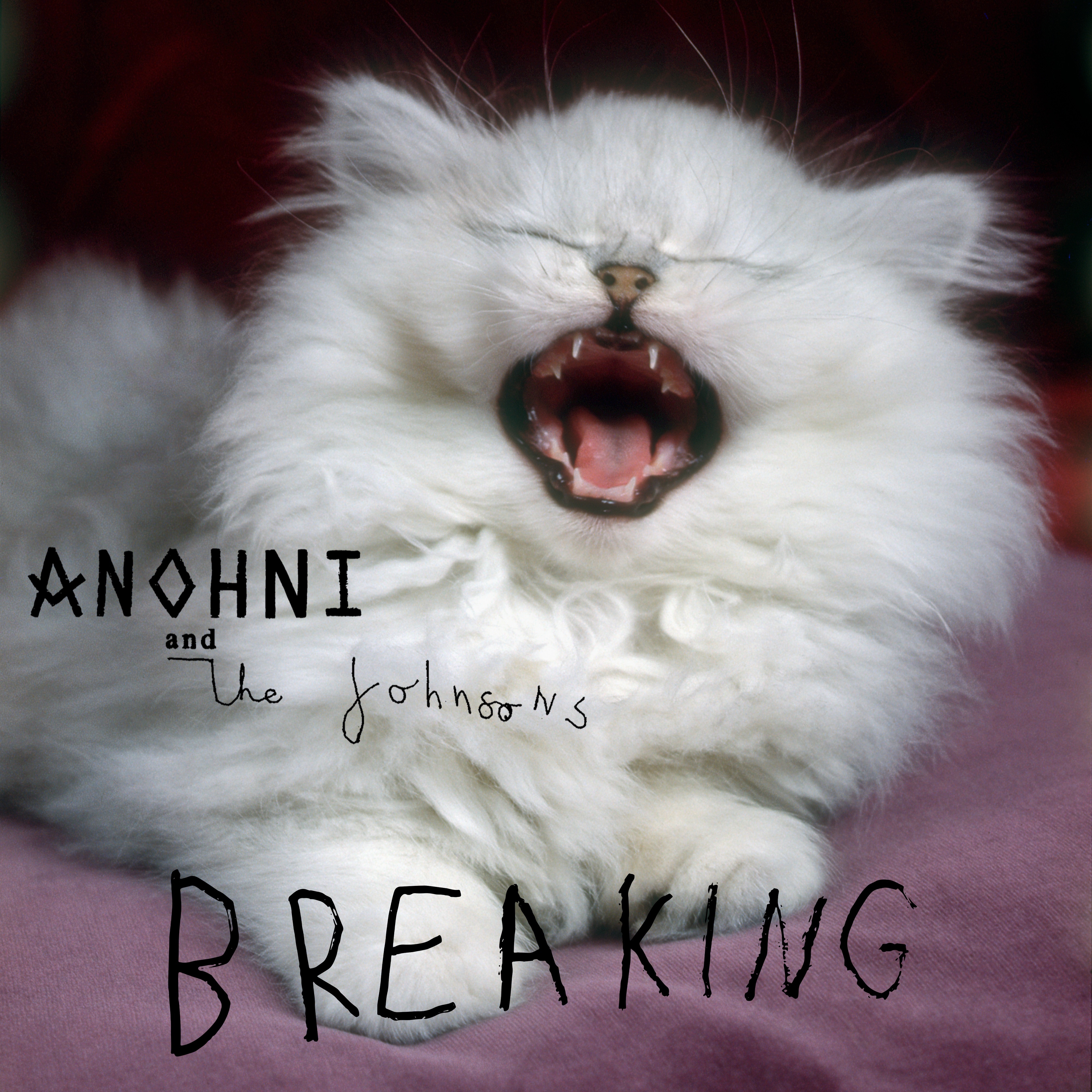 Breaking - Single album cover