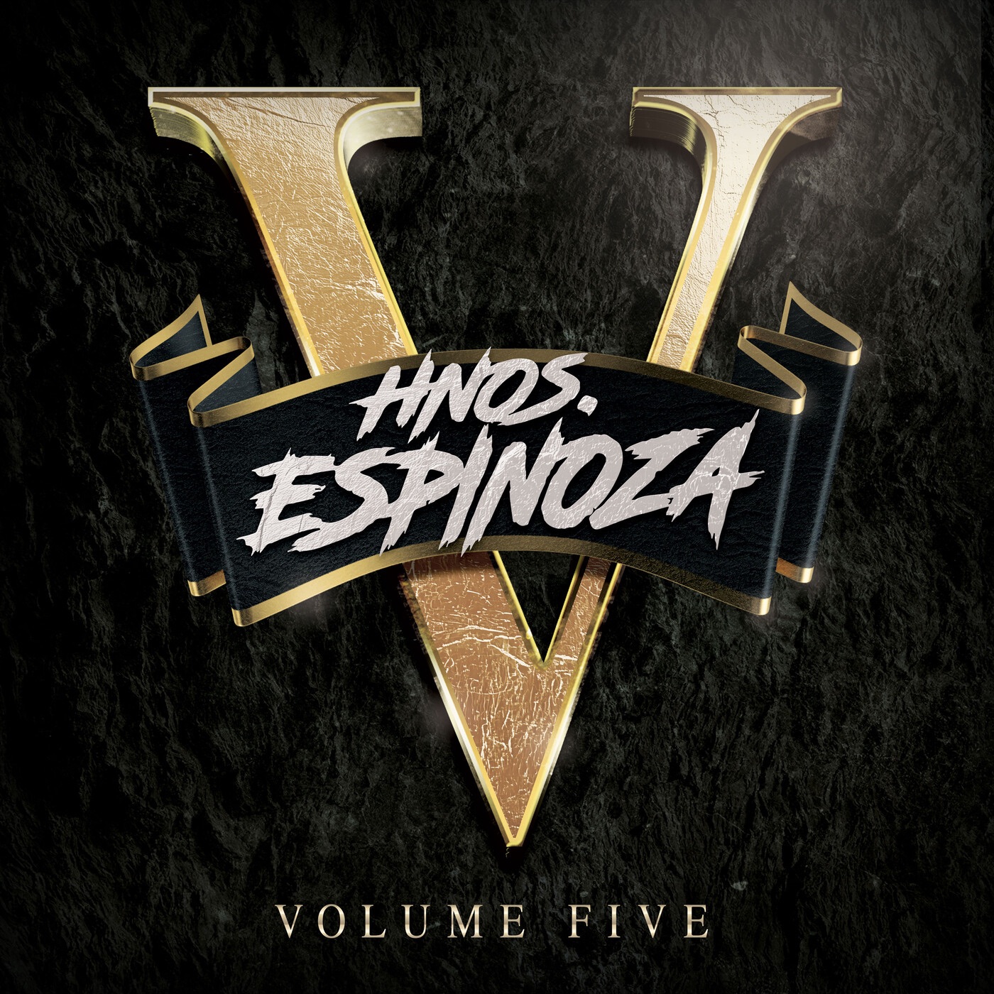 HNOS ESPINOZA, VOL. 5 album cover