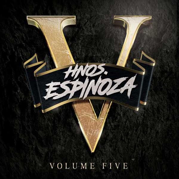 HNOS ESPINOZA, VOL. 5 album cover