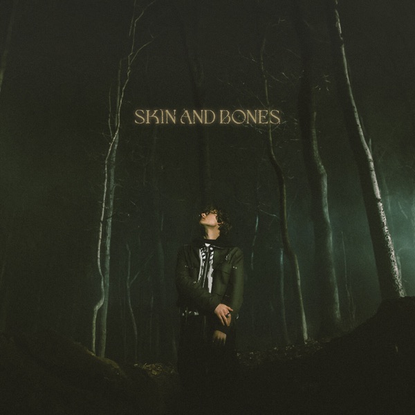 Skin and Bones - Single album cover