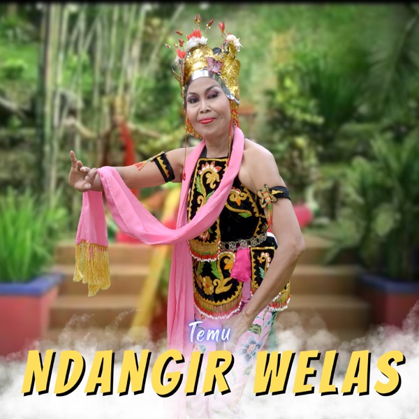 Ndangir Welas - Single album cover