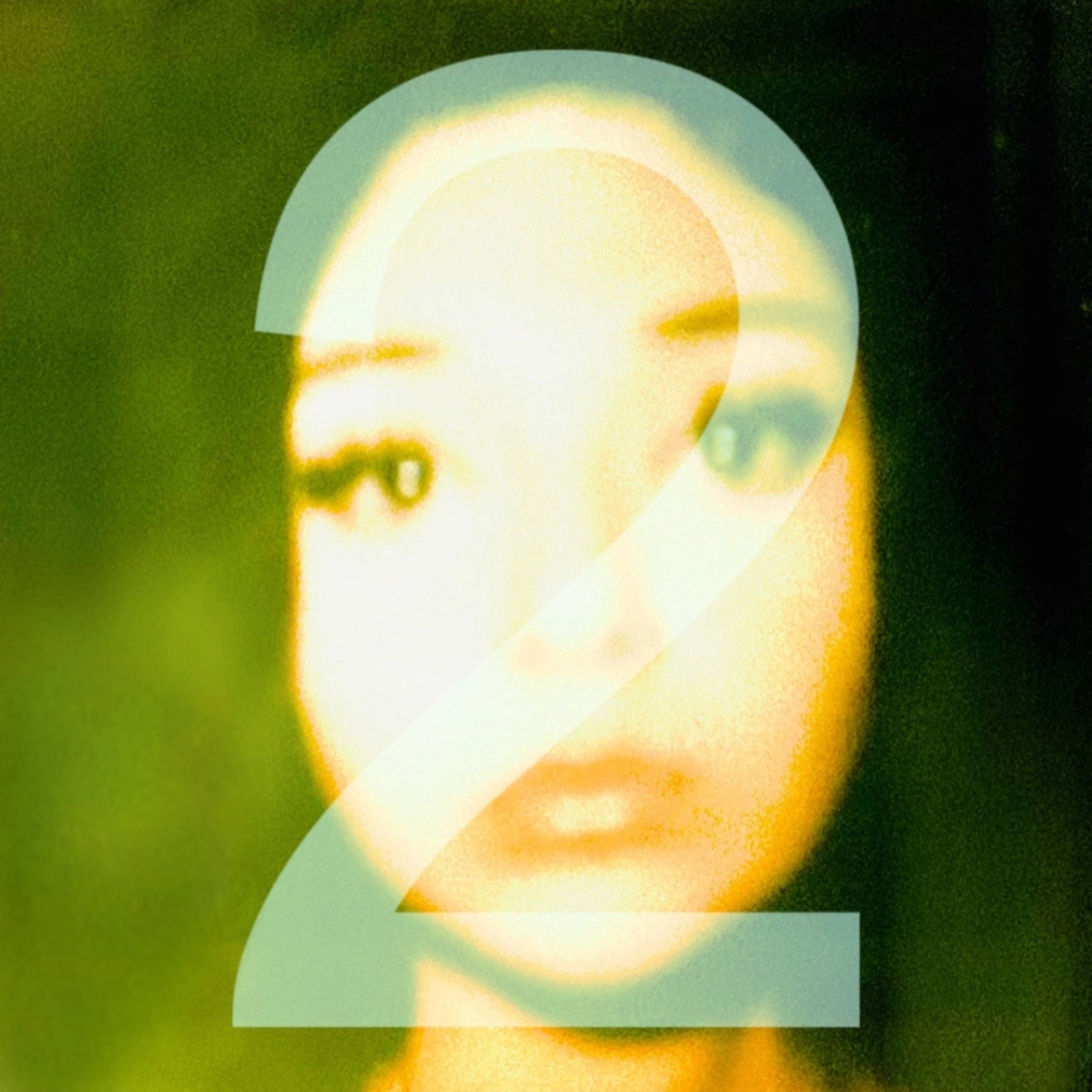 Recycling Bin Collection 2 album cover